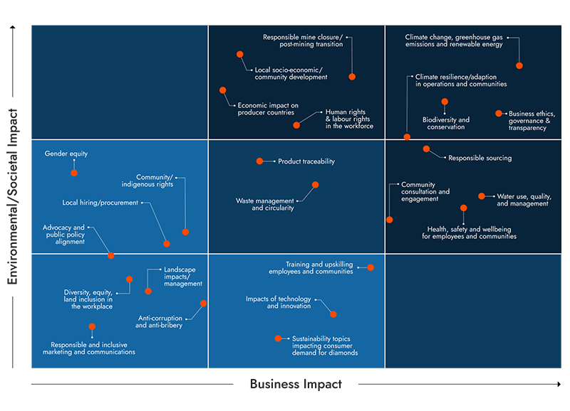 Materiality assessment