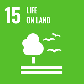 UN Sustainable Development Goal icon for Life On Land
